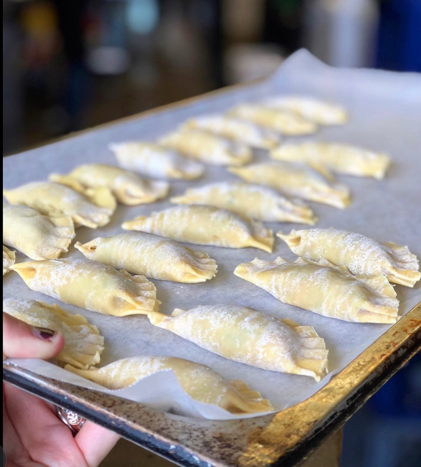 Pot Sticker Pork Dumplings